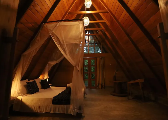 Cinnamon Paradise