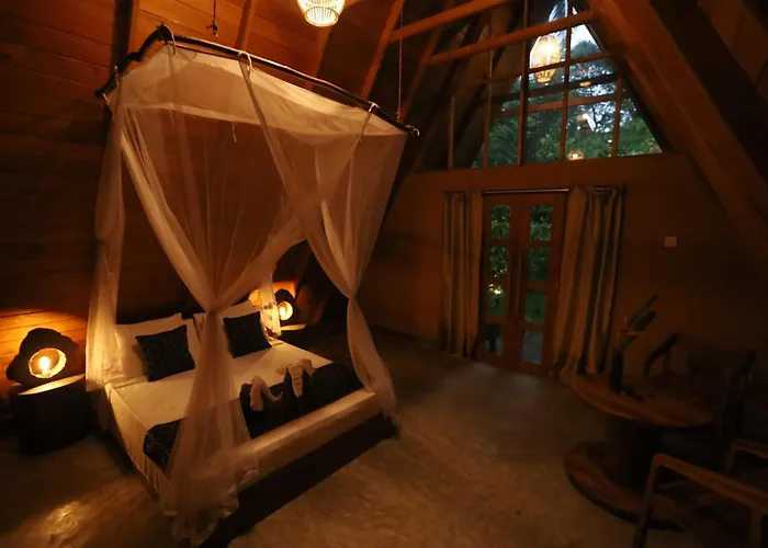 Cinnamon Paradise