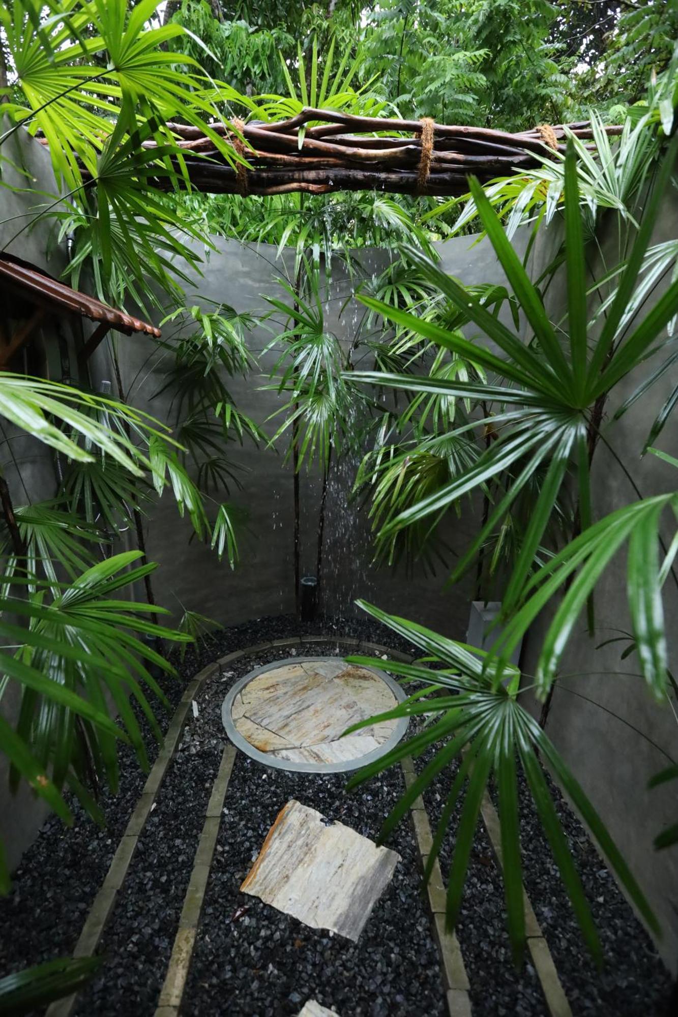 Cinnamon Paradise